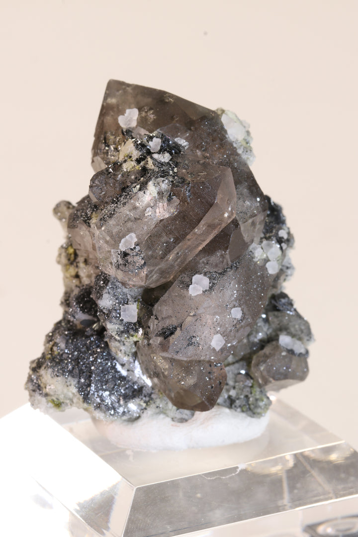 Fluorite and Hematite Rosettes on Smoky Quartz TD2879