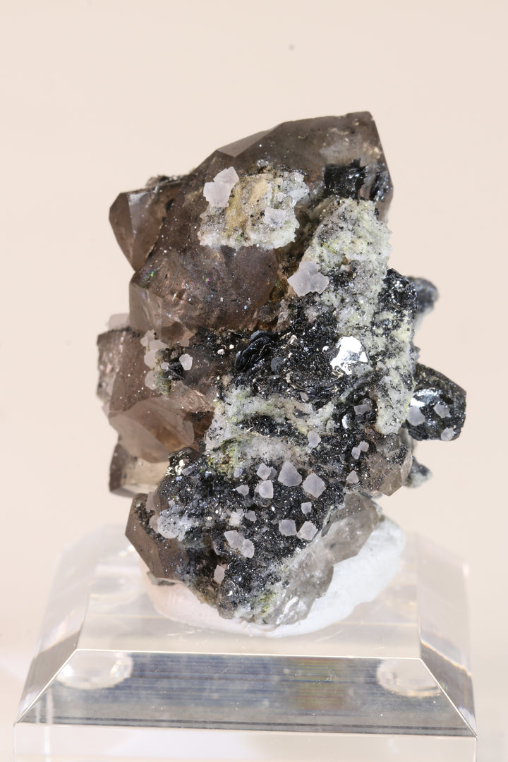 Fluorite and Hematite Rosettes on Smoky Quartz TD2879