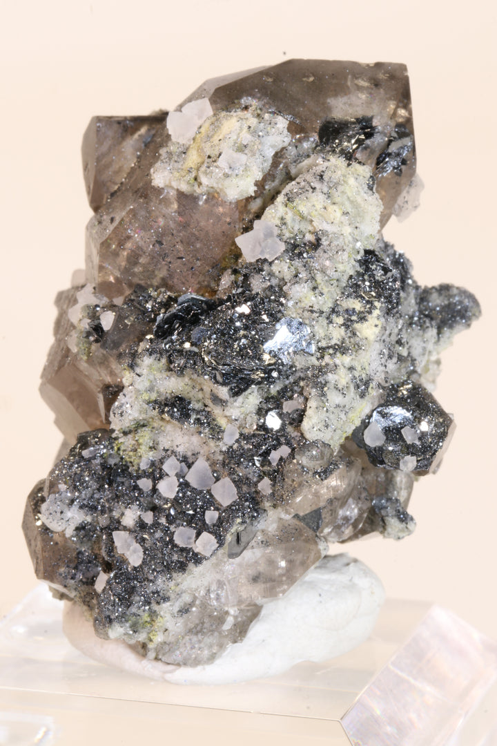 Fluorite and Hematite Rosettes on Smoky Quartz TD2879