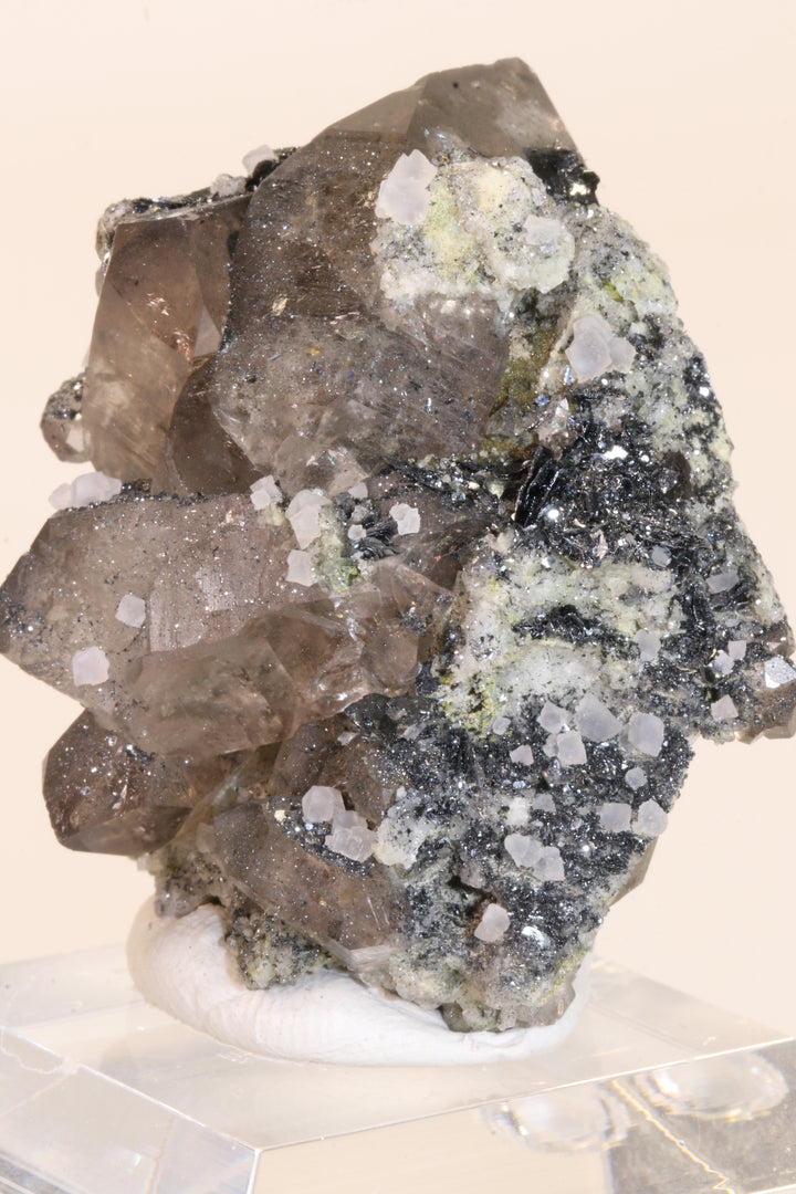 Fluorite and Hematite Rosettes on Smoky Quartz TD2879