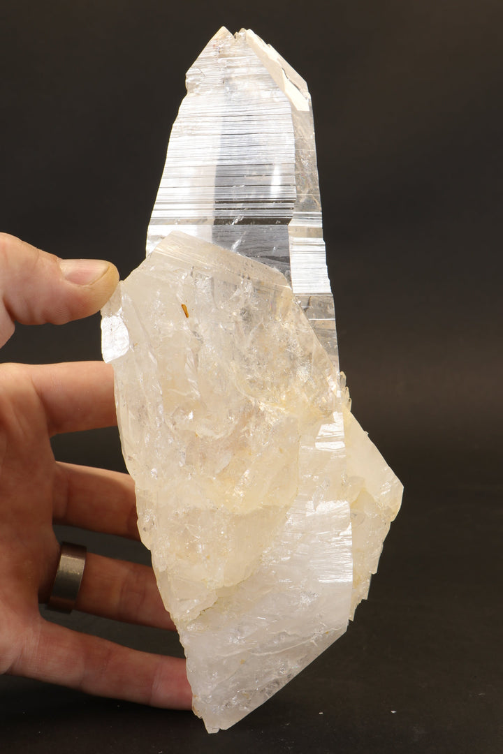 8" Double Terminated Colombian Lemurian TD3469