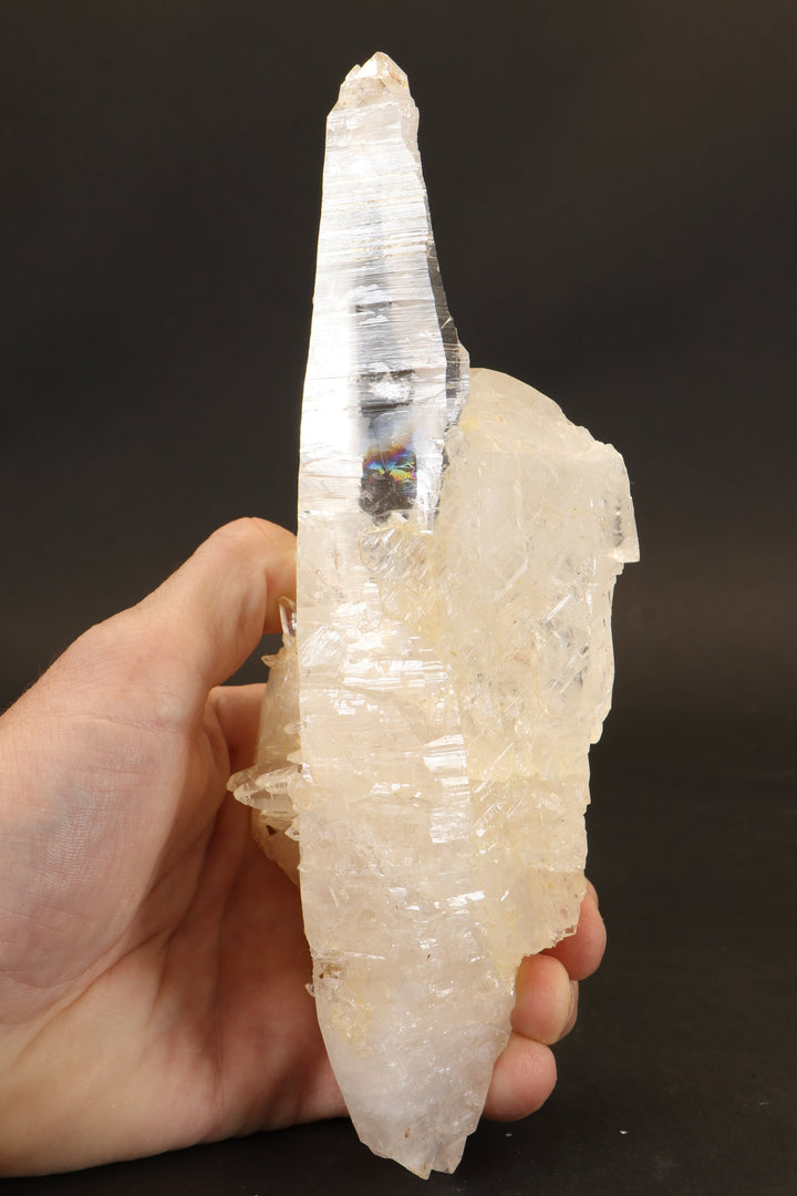 8" Double Terminated Colombian Lemurian TD3469