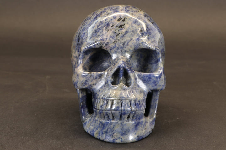 Sodalite Skull Carving TD3986