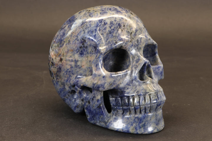 Sodalite Skull Carving TD3986