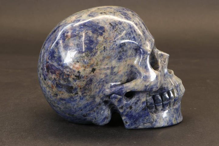 Sodalite Skull Carving TD3986