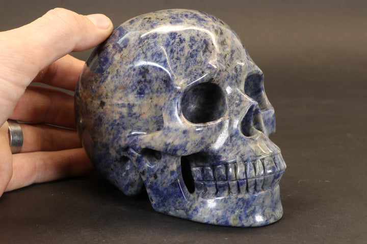 Sodalite Skull Carving TD3986