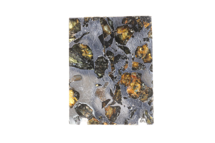 Seymchan Pallasite Meteorite Slab TD750