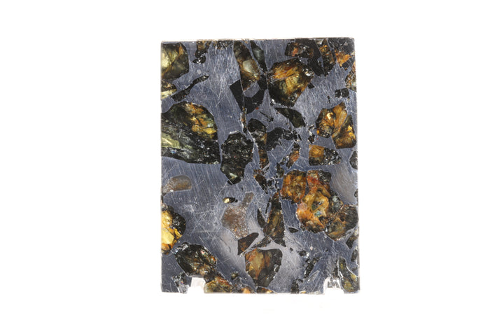 Seymchan Pallasite Meteorite Slab TD750