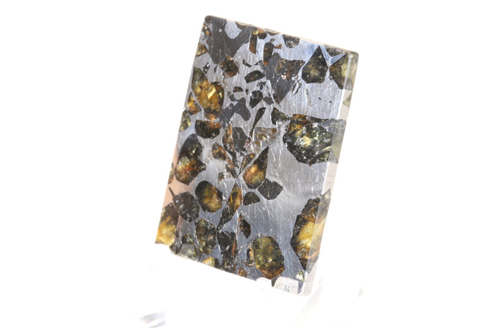 Seymchan Pallasite Meteorite Slab TD750