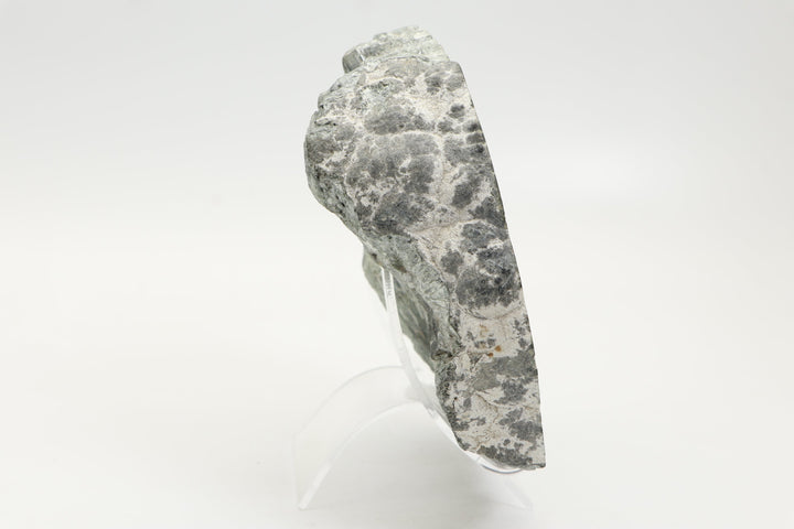 Clinochlore Stalactite Slab TF083