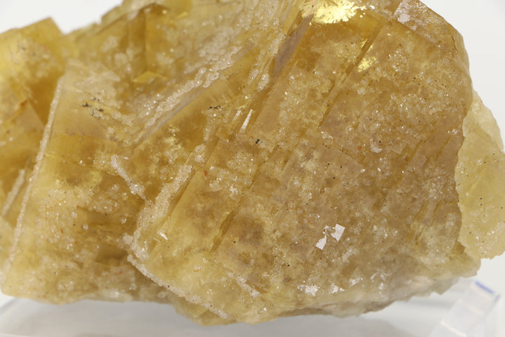 German Yellow Fluorite Specimen on Acrylic Base TF1687