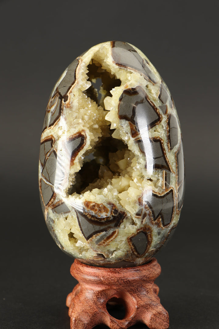 Septarian Geode Egg TF1790