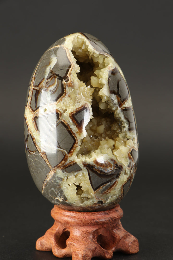 Septarian Geode Egg TF1790