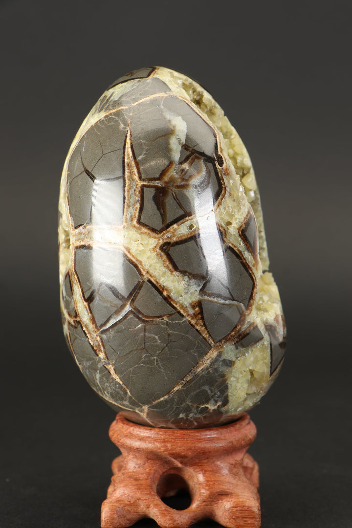 Septarian Geode Egg TF1790