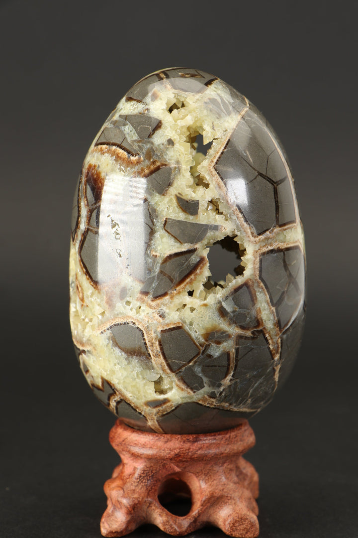 Septarian Geode Egg TF1790