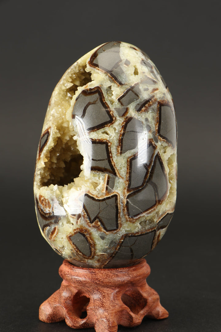 Septarian Geode Egg TF1790