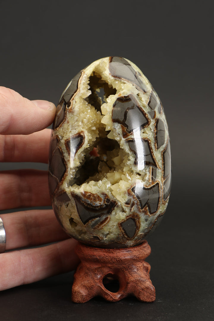 Septarian Geode Egg TF1790