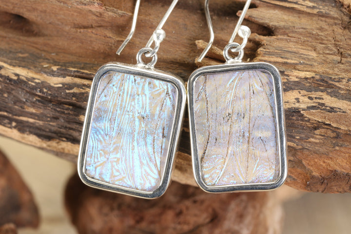 Sulkowsky Butterfly Dangle Earrings TF182