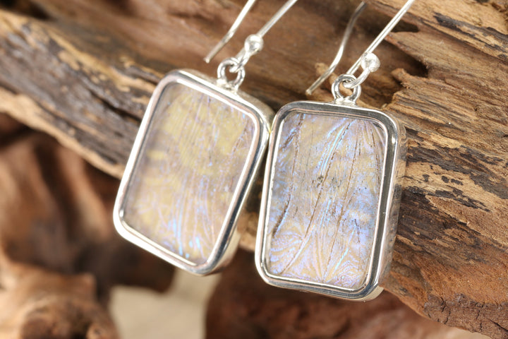 Sulkowsky Butterfly Dangle Earrings TF182