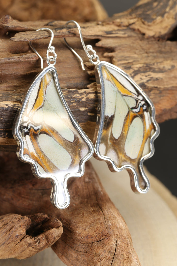 Stelenes Butterfly Dangle Earrings TF186