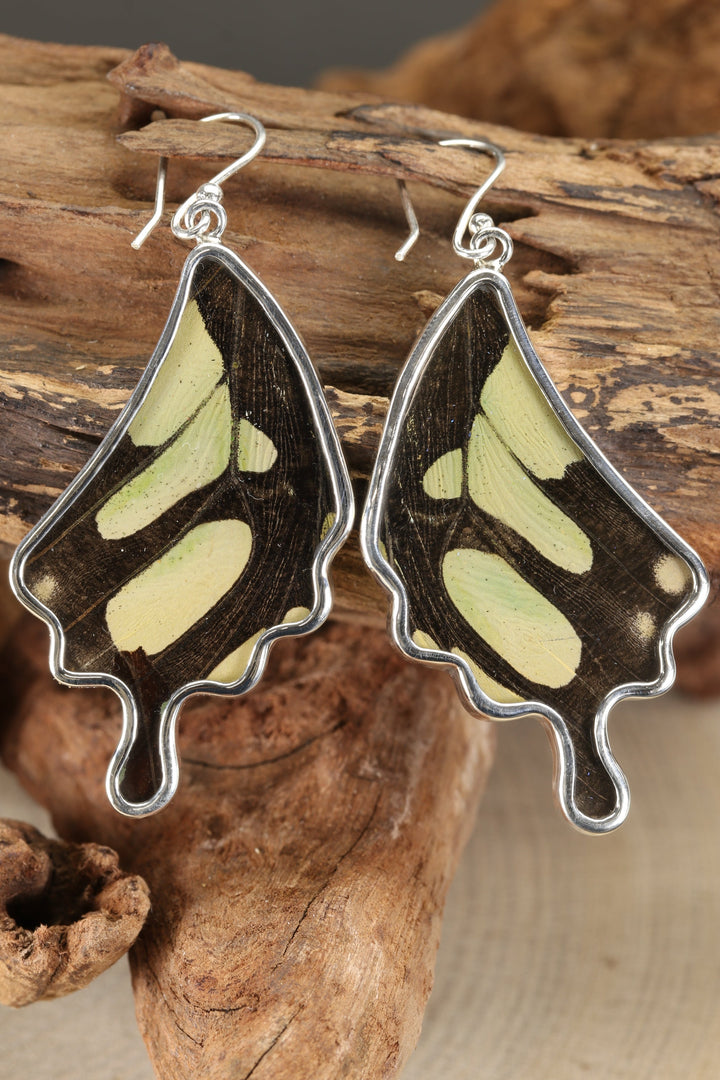 Stelenes Butterfly Dangle Earrings TF186