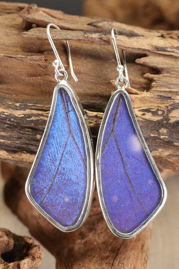 Morpho Butterfly Dangle Earrings TF640