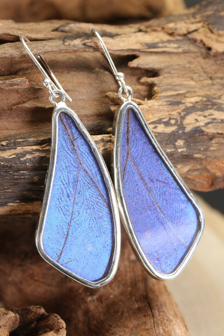 Morpho Butterfly Dangle Earrings TF640