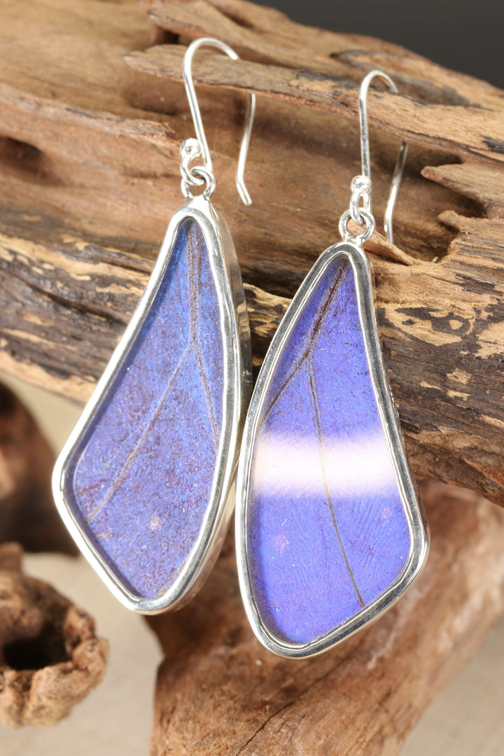 Morpho Butterfly Dangle Earrings TF640