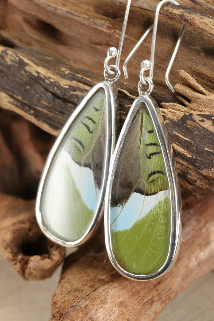 Nessaea Butterfly Dangle Earrings TF643