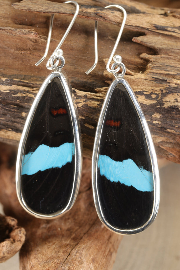 Nessaea Butterfly Dangle Earrings TF643