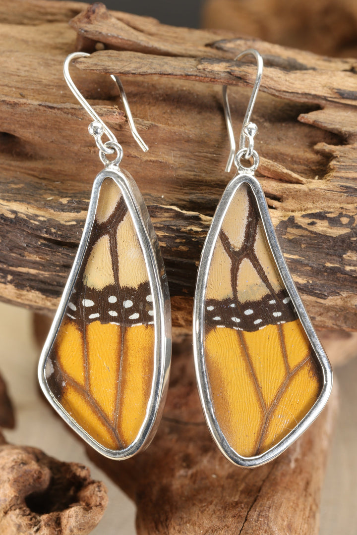 Monarch Butterfly Earrings TF646