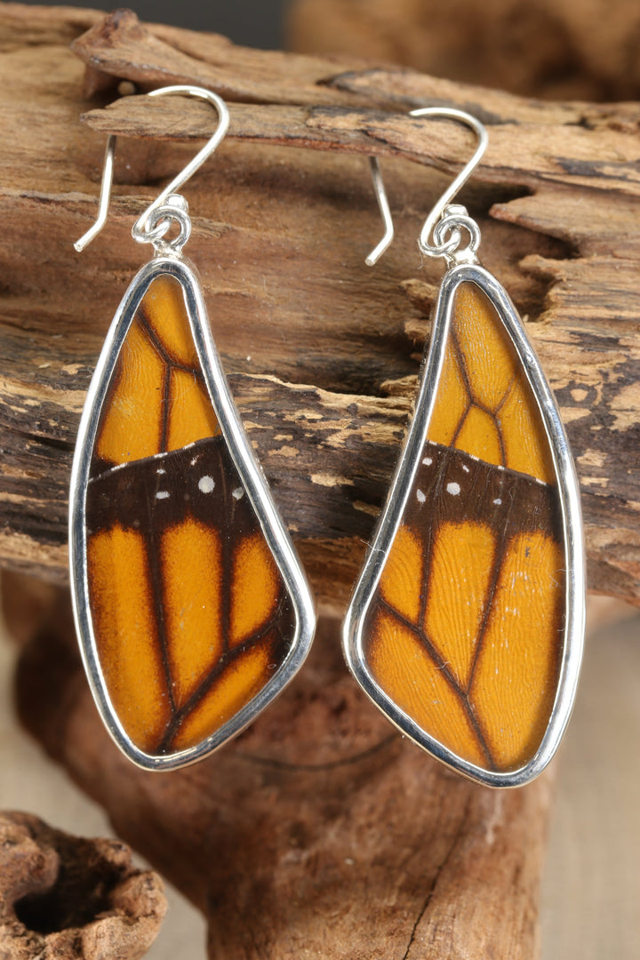 Monarch Butterfly Earrings TF646