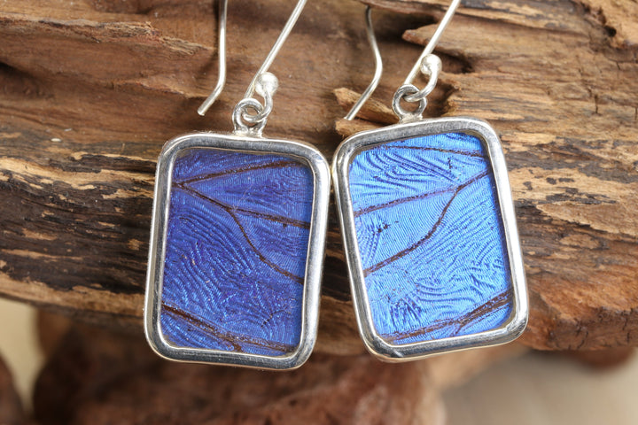 Morpho Butterfly Dangle Earrings TF657