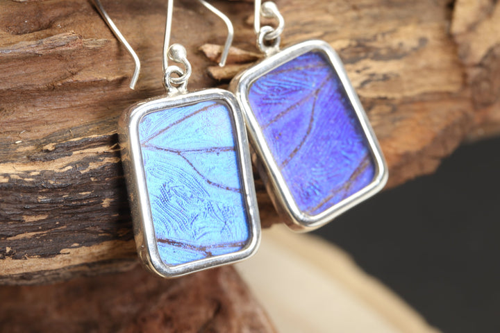 Morpho Butterfly Dangle Earrings TF657