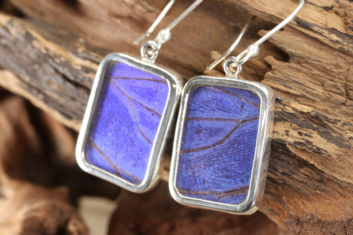 Morpho Butterfly Dangle Earrings TF657