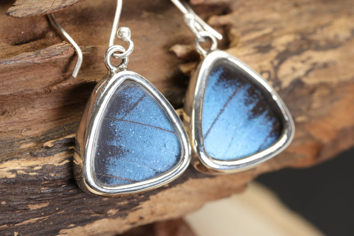 Morpho Achilles Butterfly Dangle Earrings TF674