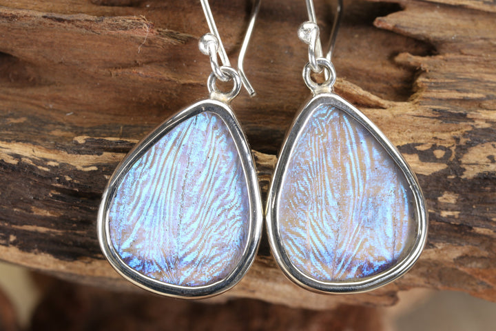 Sulkowsky Butterfly Dangle Earrings TF678