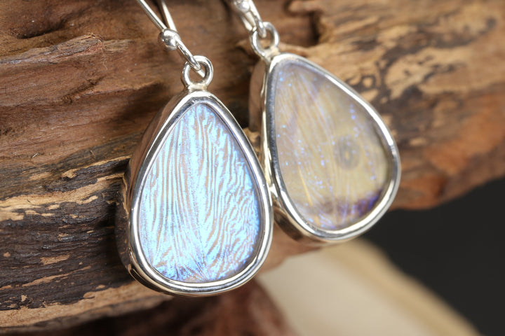 Sulkowsky Butterfly Dangle Earrings TF678