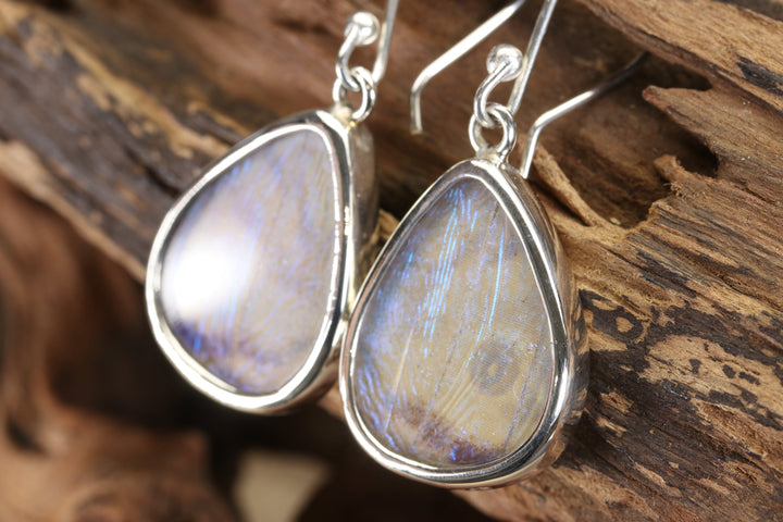 Sulkowsky Butterfly Dangle Earrings TF678