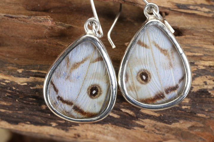 Sulkowsky Butterfly Dangle Earrings TF678