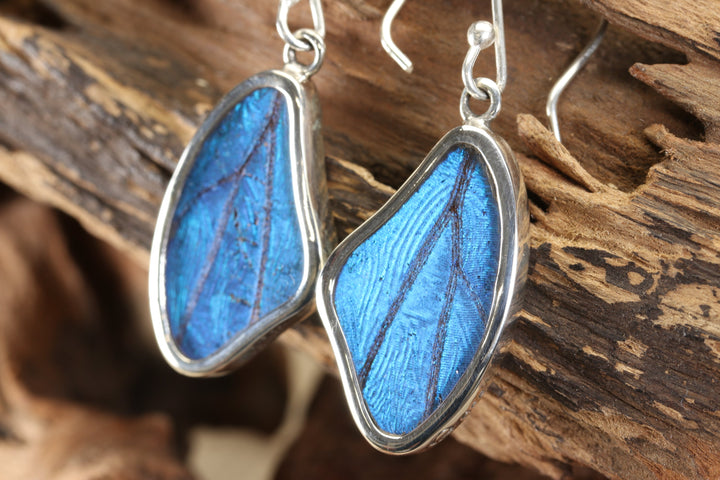 Morpho Butterfly Dangle Earrings TF679