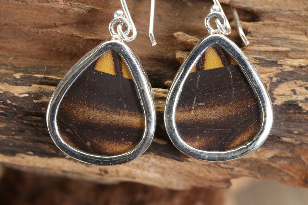 Monarch Butterfly Earrings TF682