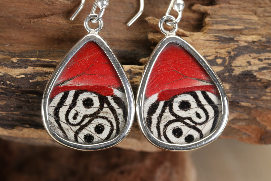 Cattagrama Butterfly Dangles TF684