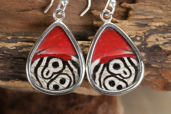 Cattagrama Butterfly Dangles TF684