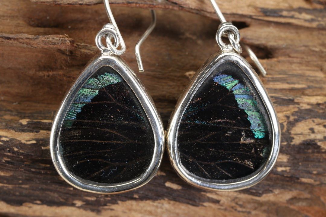 Cattagrama Butterfly Dangles TF684