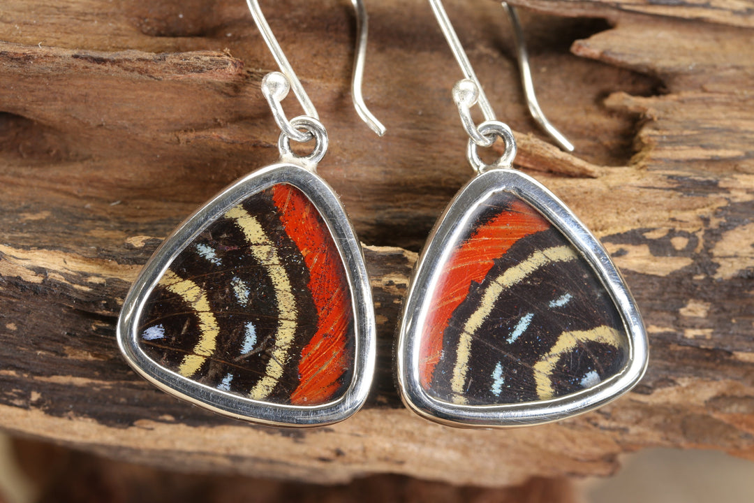 Cattagrama Butterfly Dangles TF696