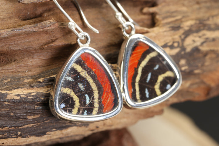 Cattagrama Butterfly Dangles TF696
