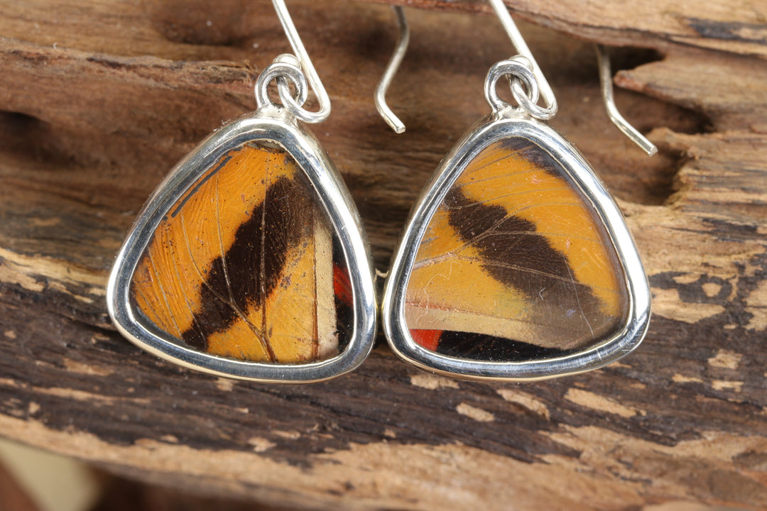Cattagrama Butterfly Dangles TF696