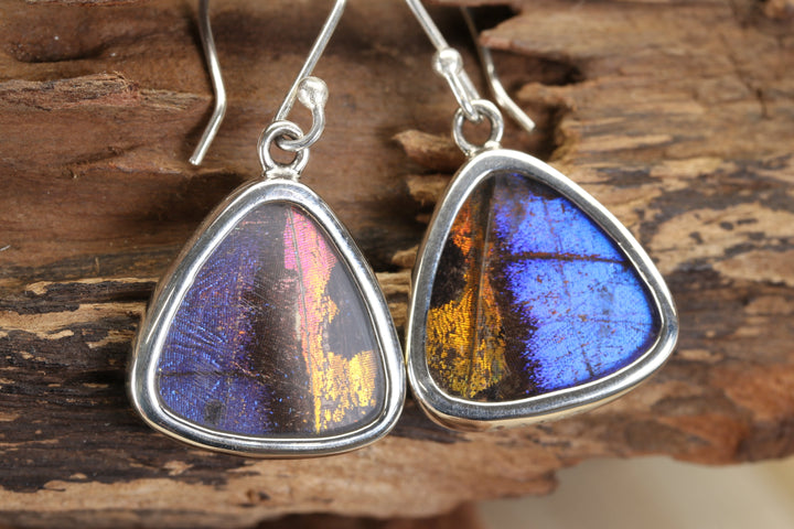 Morpho and Urania Ripheus Butterfly Earrings TF699
