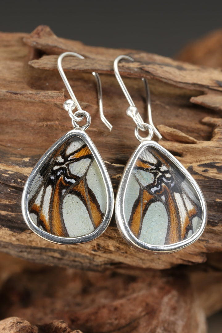 Stelenes Butterfly Dangle Earrings TF706